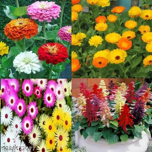 Mixed flower seeds - Love4u.store